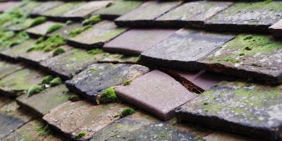 Crofton roof repair costs